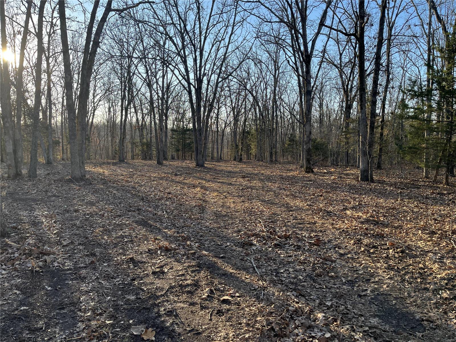 0 Lot Road Bourbon, MO 65441 - Photo 7 of 14