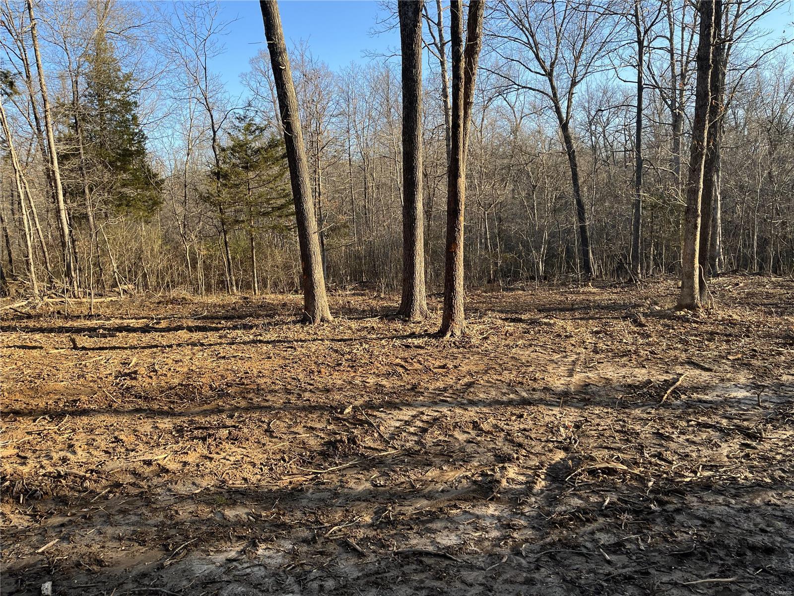 0 Lot Road Bourbon, MO 65441 - Photo 9 of 14