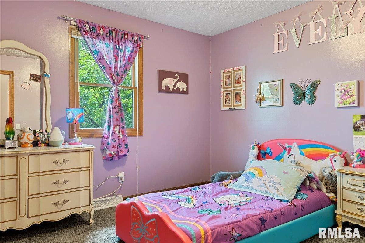 200 Hawkeye Way Springfield, IL 62707 - Photo 10 of 22 Gallery Image 10