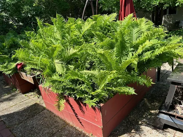 $359,900 | 3820 40th Avenue South, Minneapolis, MN 55406