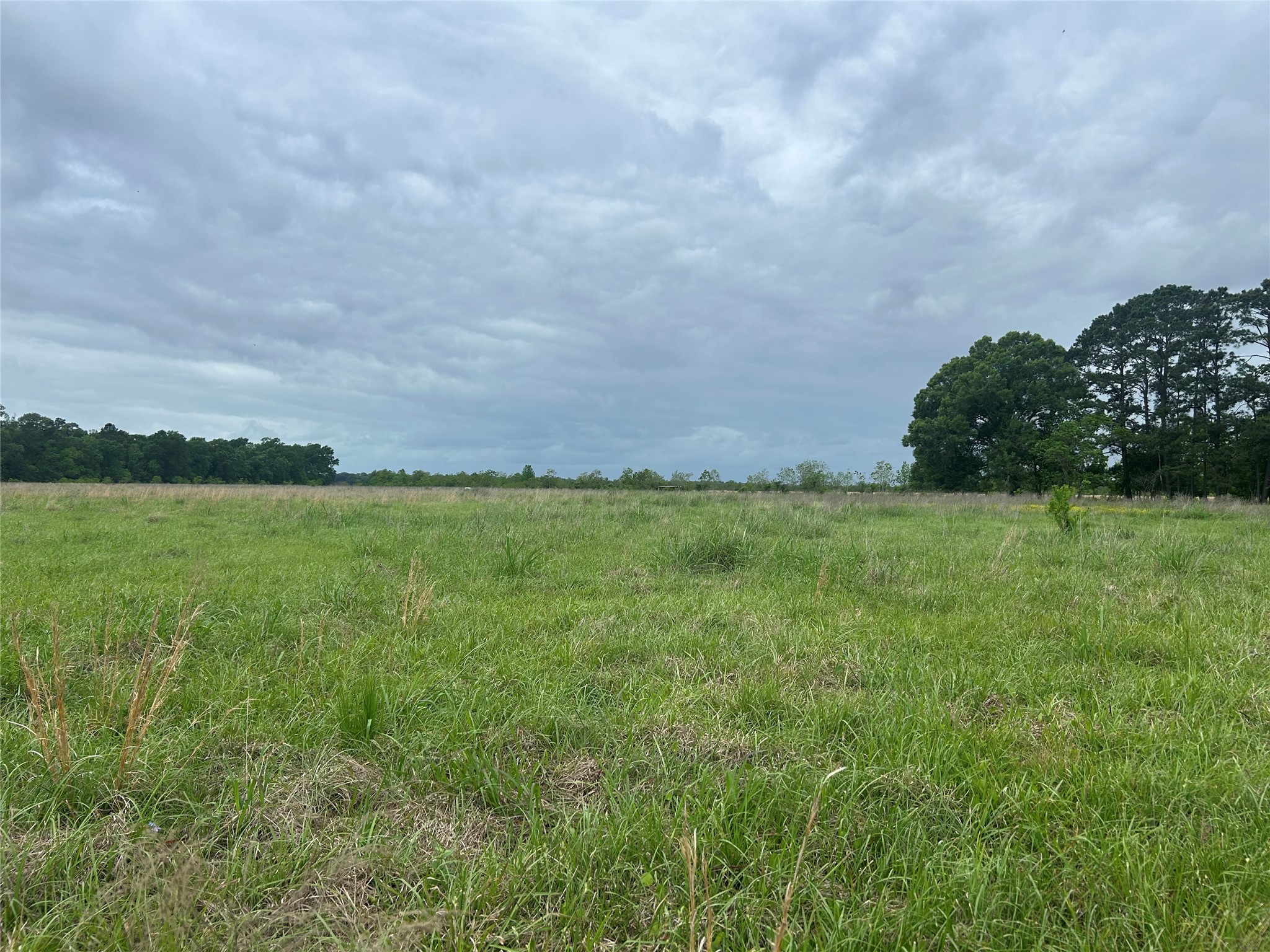 Lot 2 Minnie West Road Hull, TX 77564 - Photo 13 of 13