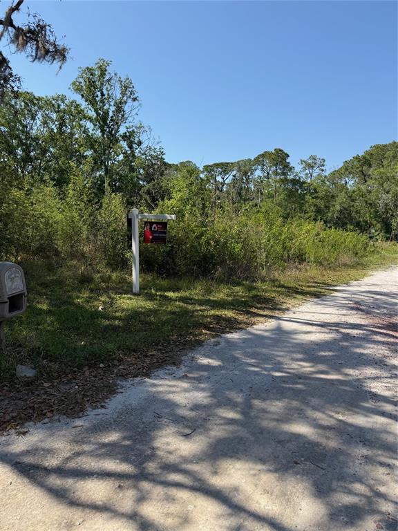 Elza Street New Port Richey, FL 34654 - Photo 2 of 4 a view of a park