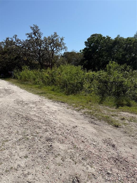 Elza Street New Port Richey, FL 34654 - Photo 4 of 4 a view of a yard with a tree