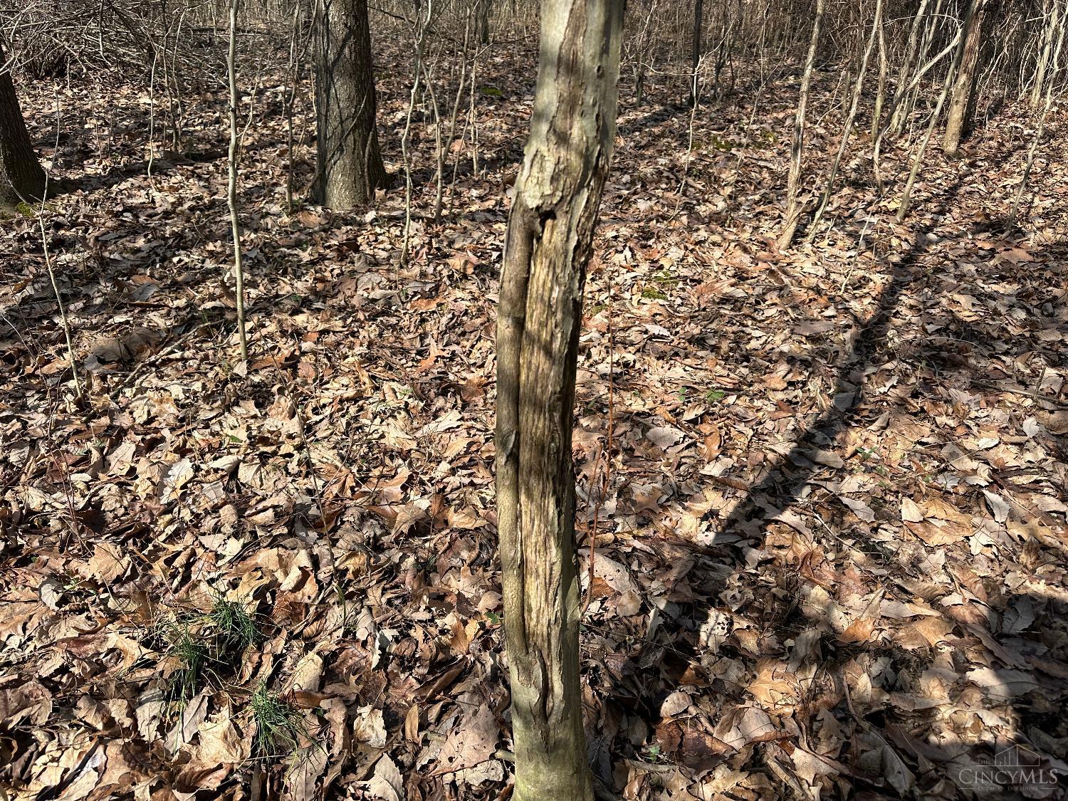 0 Wilson Road Winchester, OH 45697 - Photo 32 of 69