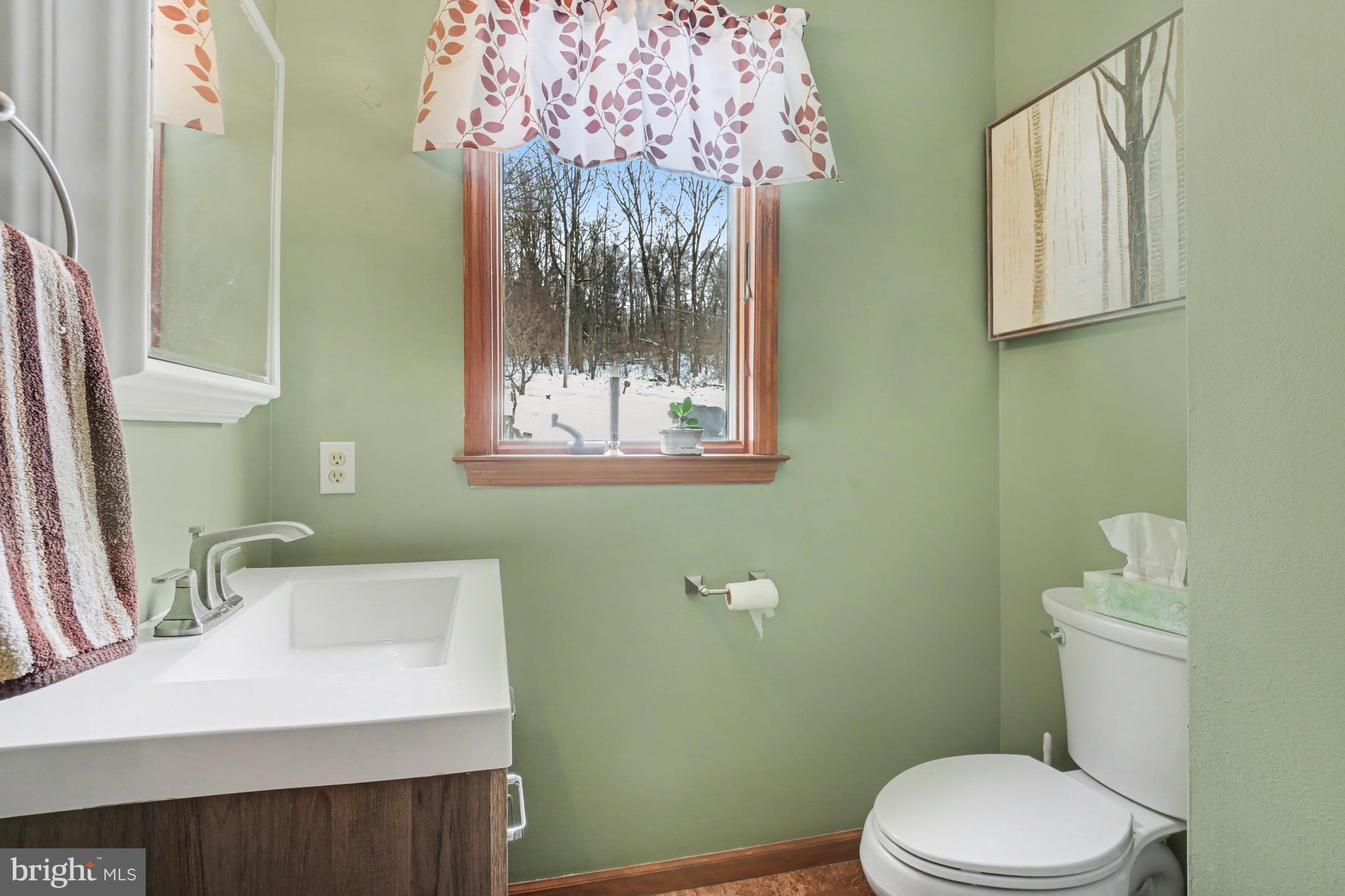 46 Wetzel Road Macungie, PA 18062 - Photo 11 of 42 a bathroom with a sink a toilet and a mirror
