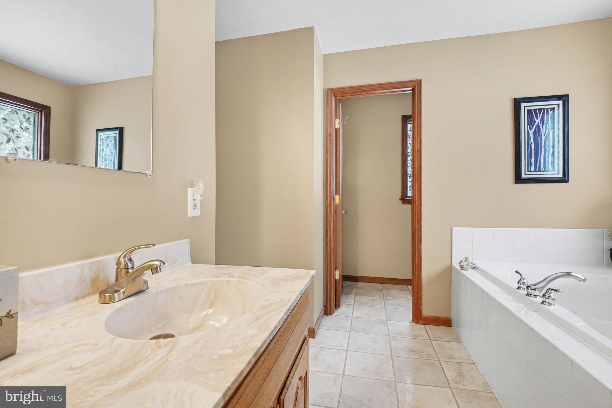46 Wetzel Road Macungie, PA 18062 - Photo 15 of 42 a bathroom with a tub sink and mirror