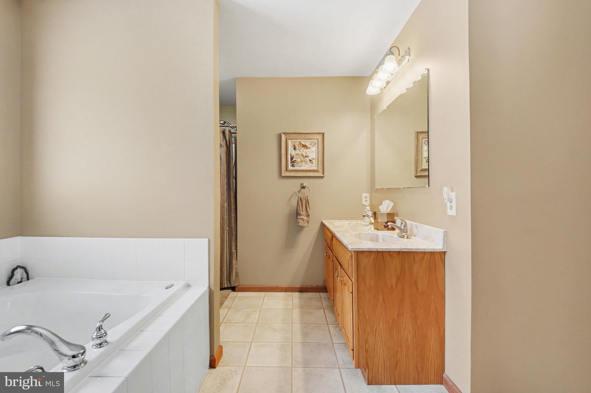 46 Wetzel Road Macungie, PA 18062 - Photo 16 of 42 a bathroom with a bathtub sink and mirror