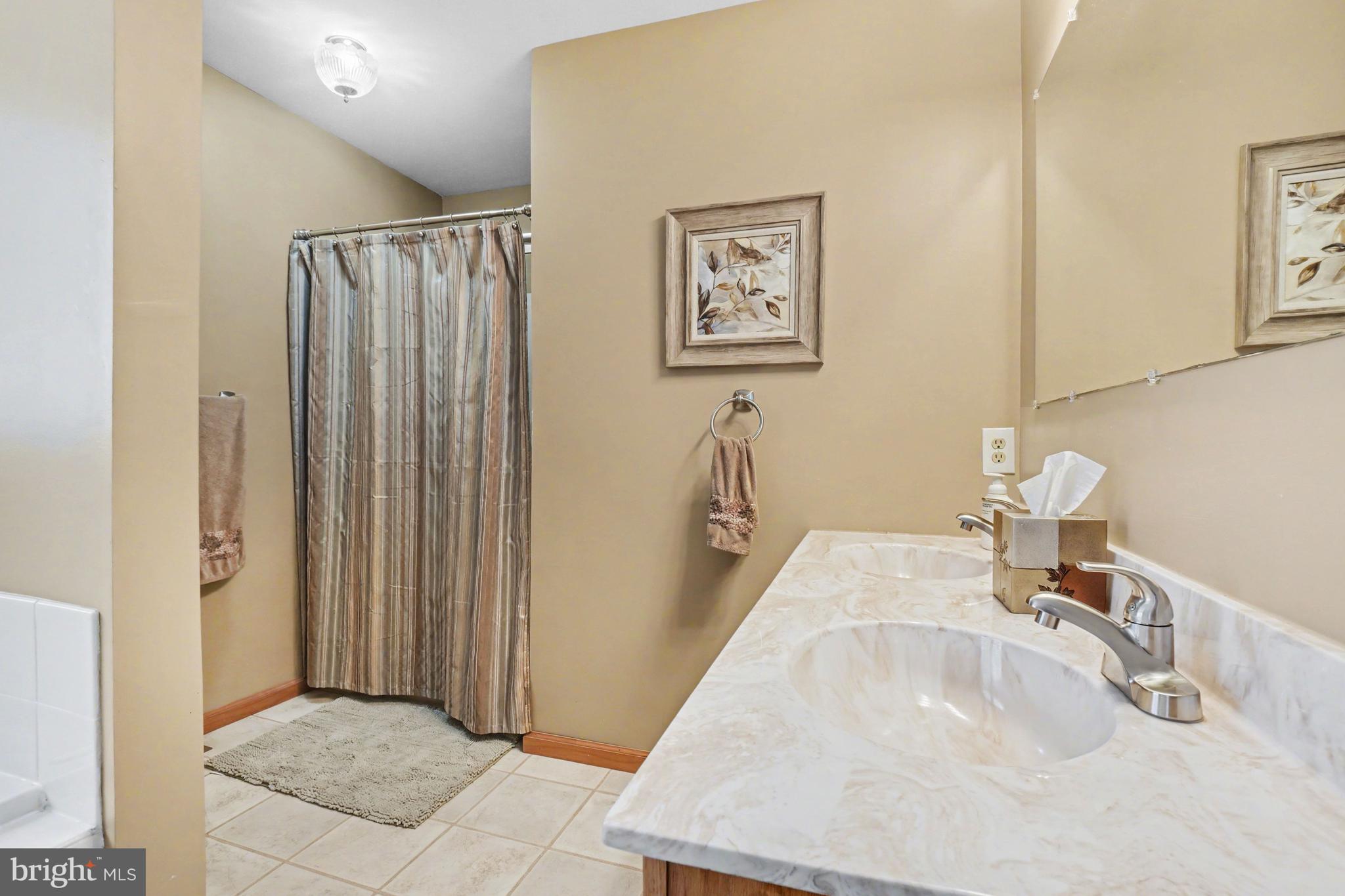 46 Wetzel Road Macungie, PA 18062 - Photo 17 of 42 a bathroom with a sink and a mirror