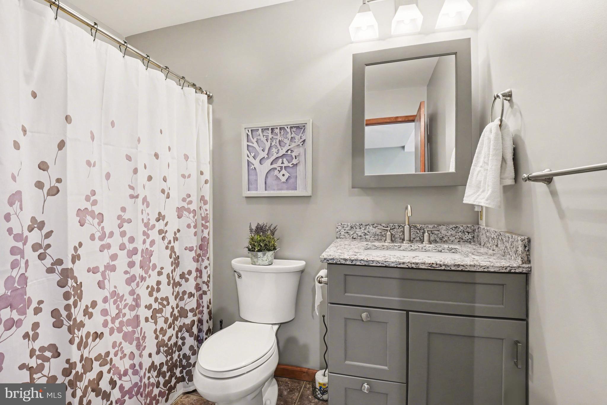 46 Wetzel Road Macungie, PA 18062 - Photo 21 of 42 a bathroom with a sink a toilet and a mirror