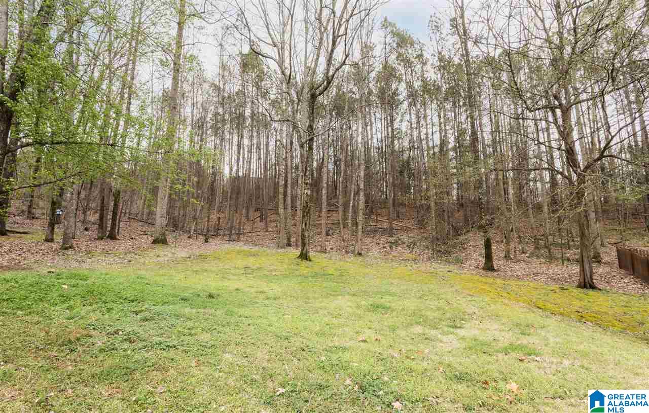 6315 Timberwolf Trail Leeds, AL 35094 - Photo 22 of 22