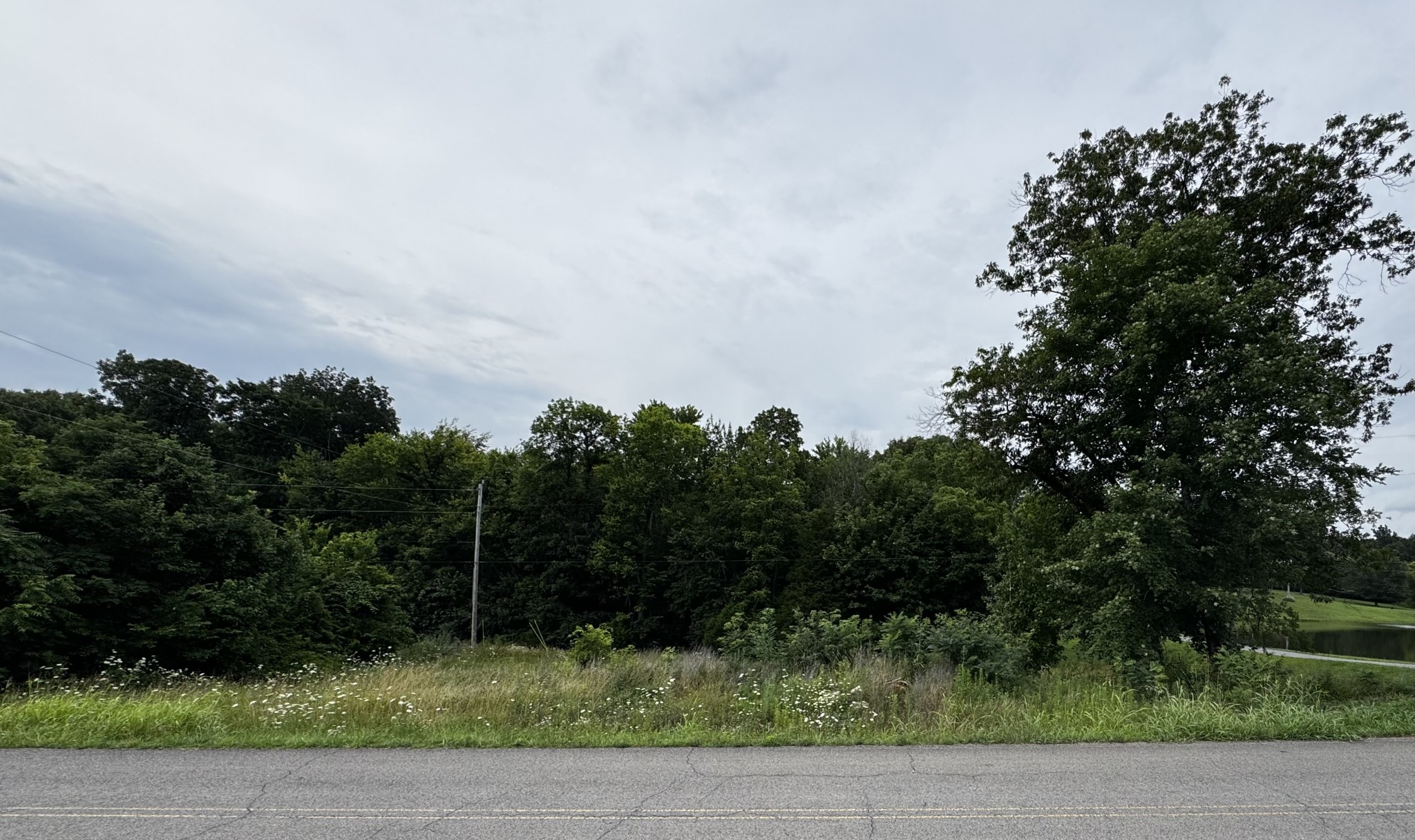 0 Campbell Road Cross Plains, TN 37049 - Photo 4 of 8