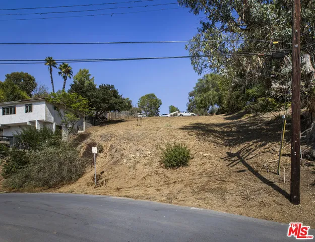 a view of a yard with plants and trees