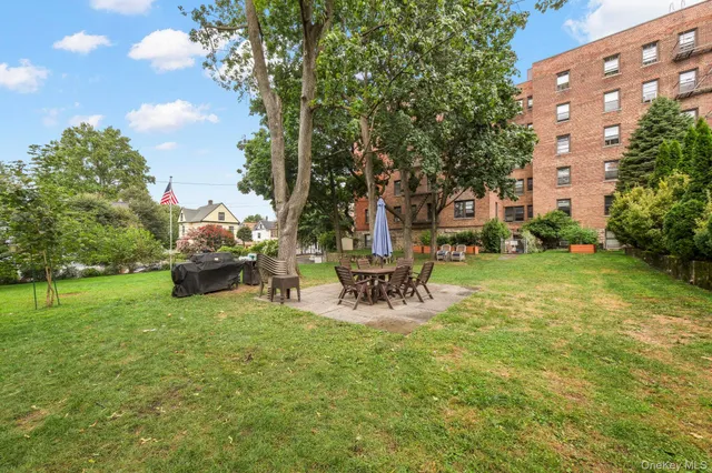 a view of a backyard with plants