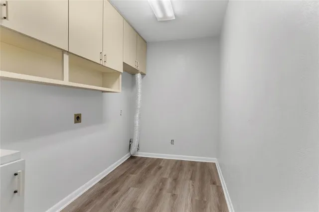 a view of a backyard with plants and large tree