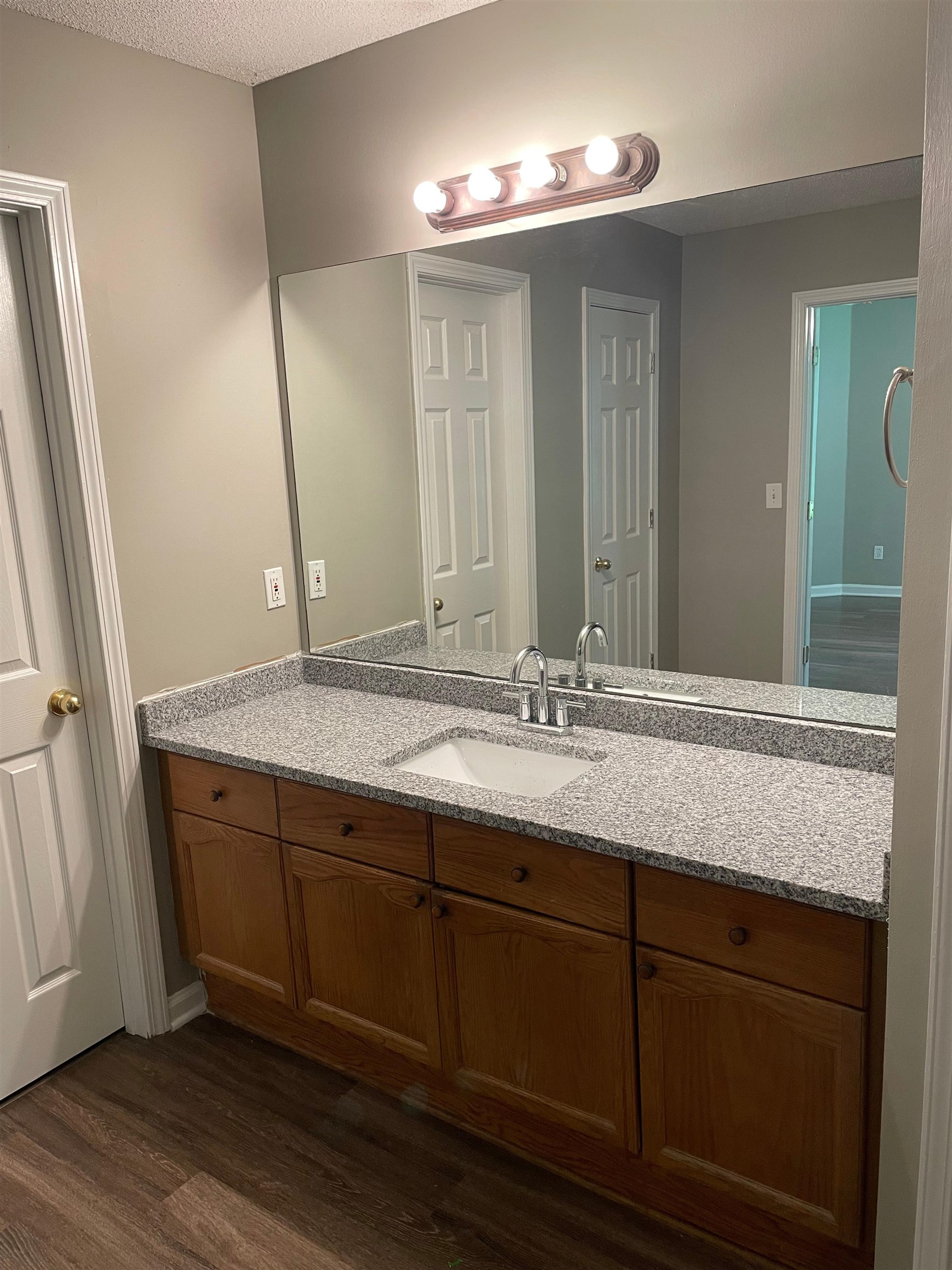 4580 Sun Ridge Drive Memphis, TN 38128 - Photo 11 of 16 Bathroom featuring vanity and wood finished floors