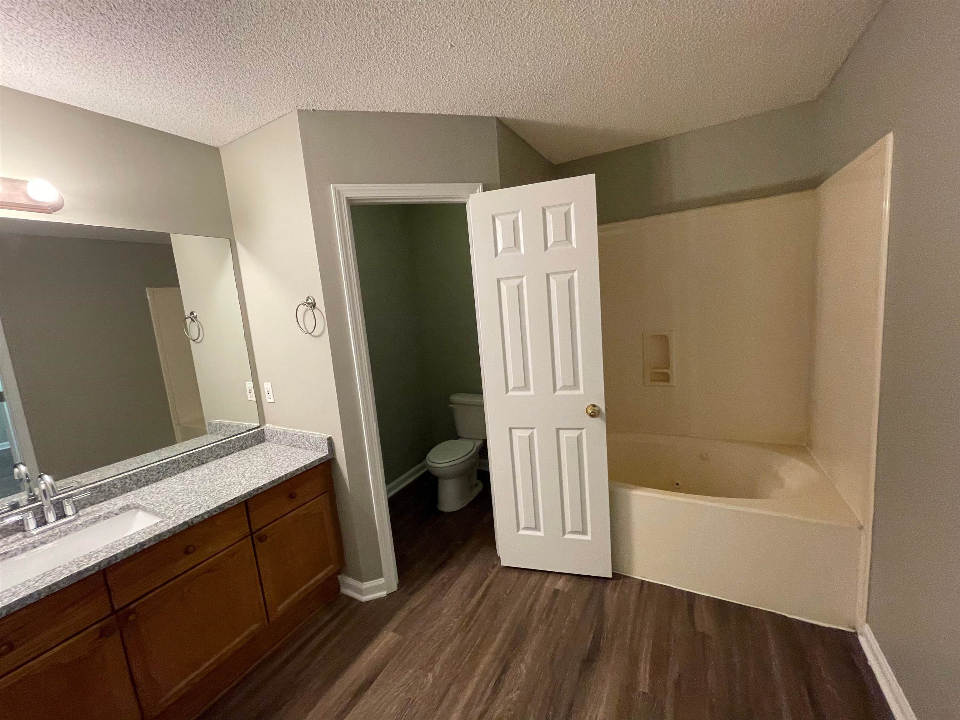 4580 Sun Ridge Drive Memphis, TN 38128 - Photo 10 of 16 Full bath with wood finished floors, a textured ceiling, and vanity