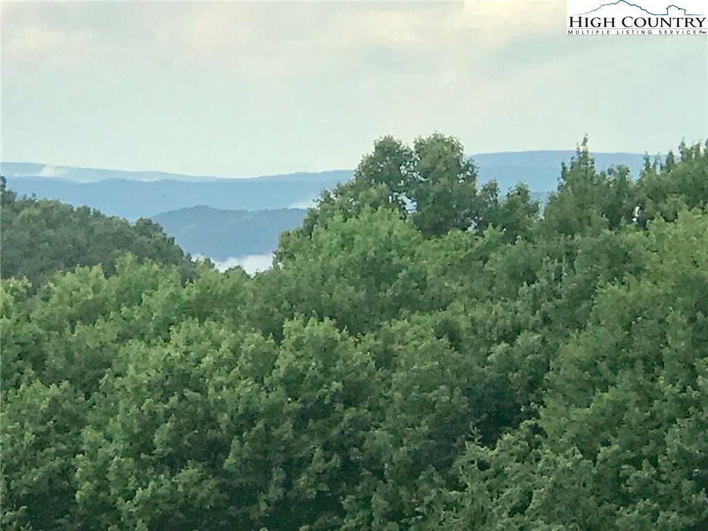 105 Briar Cliff Road Beech Mountain, NC 28604 - Photo 26 of 26 Gallery Image 26