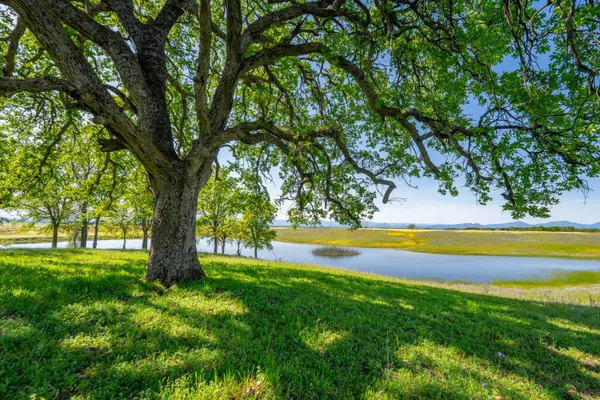 $1,225,000 | 7576 Bear Creek Way, Millville, CA 96062