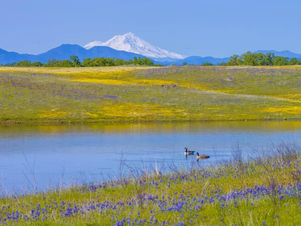 $1,225,000 | 7576 Bear Creek Way, Millville, CA 96062