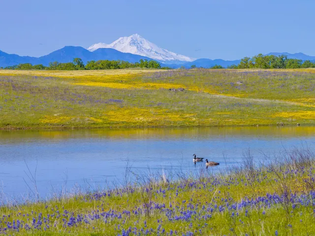 a view of an ocean and beach