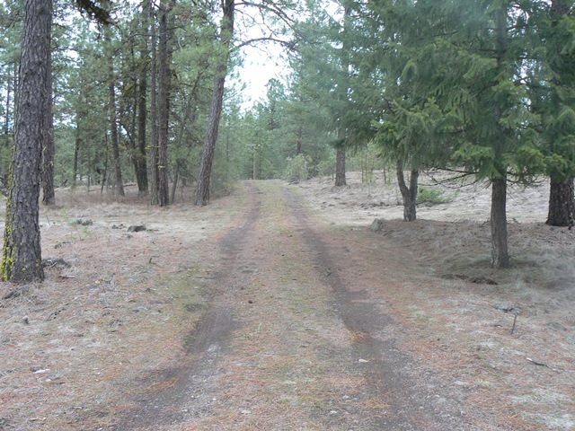 17322 South Malloy Prairie Road Cheney, WA 99004 - Photo 3 of 8
