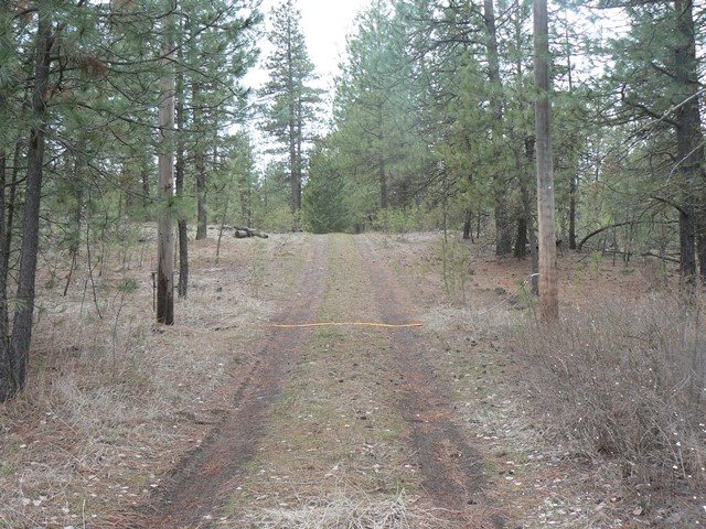 17322 South Malloy Prairie Road Cheney, WA 99004 - Photo 5 of 8