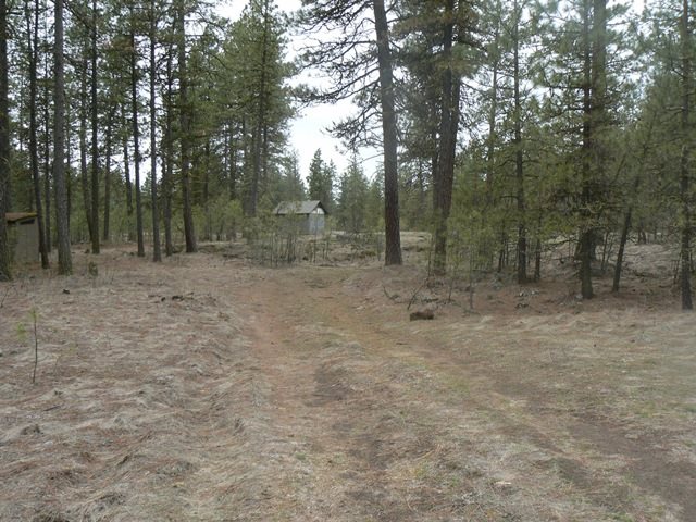 17322 South Malloy Prairie Road Cheney, WA 99004 - Photo 6 of 8