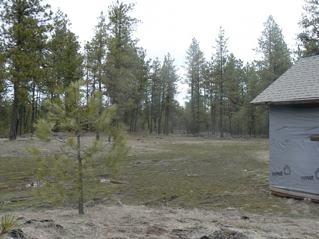 17322 South Malloy Prairie Road Cheney, WA 99004 - Photo 8 of 8