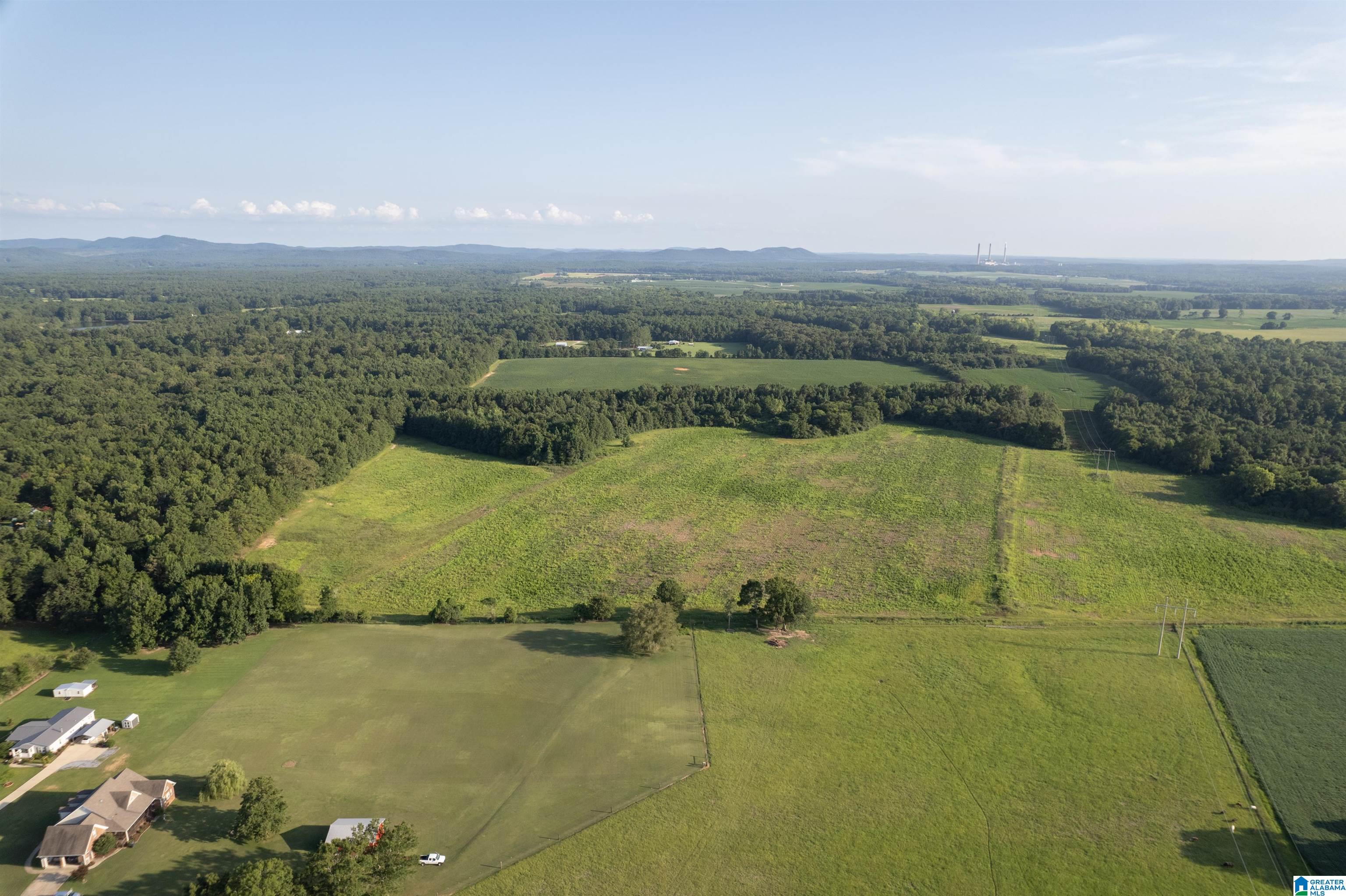 0 Sun Valley Road, Unit 1 Harpersville, AL 35078 - Photo 3 of 9