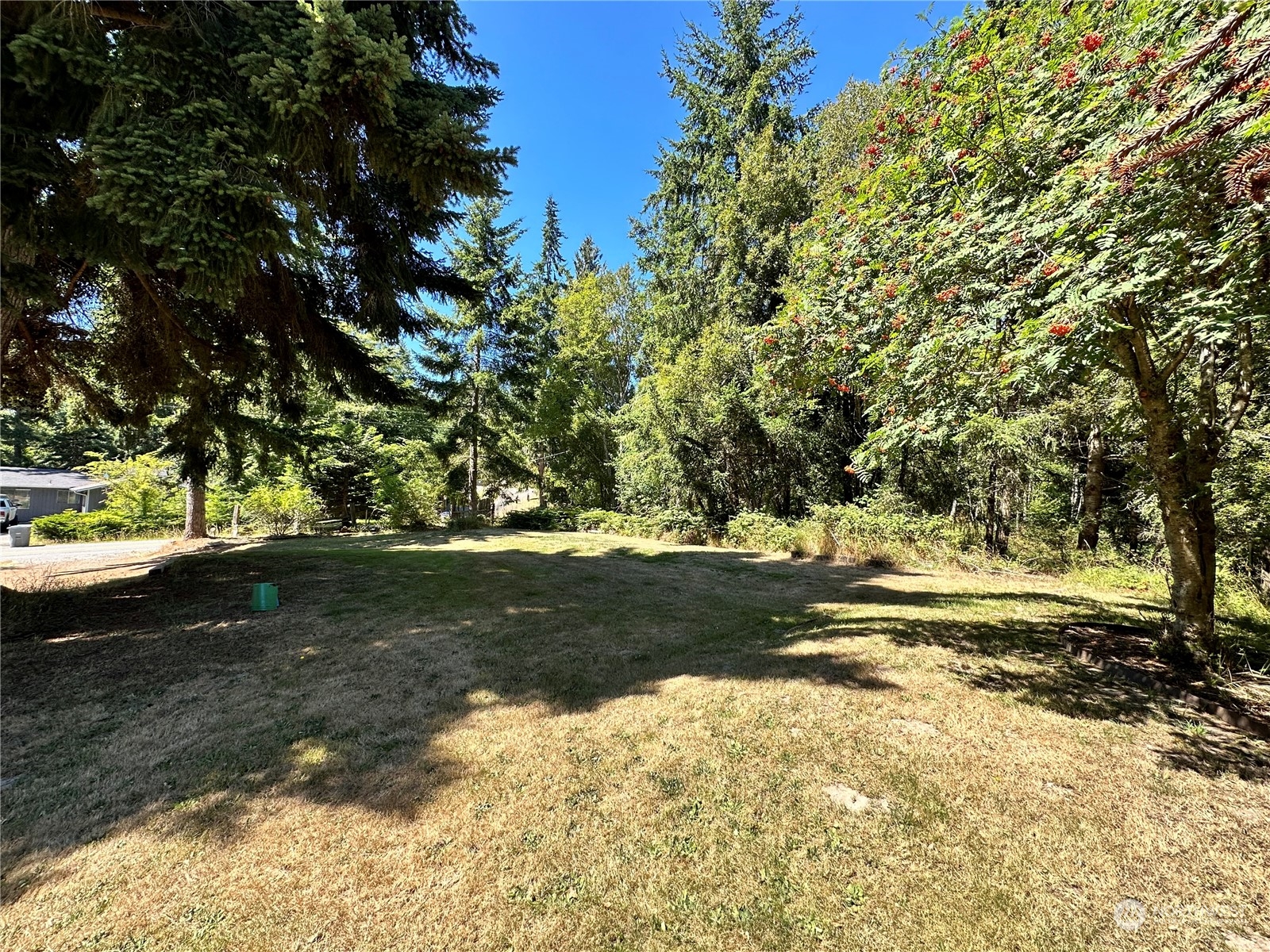 732 Gasman Road Port Angeles, WA 98362 - Photo 33 of 35 a view of yard with green space