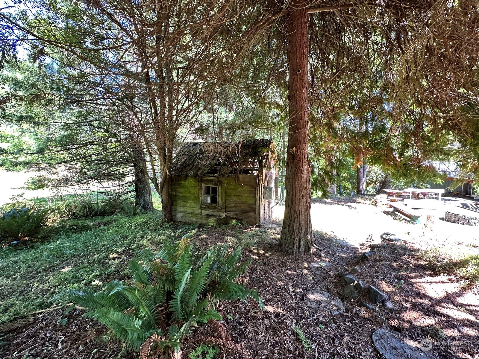 732 Gasman Road Port Angeles, WA 98362 - Photo 34 of 35 a view of a tree in the middle of a yard
