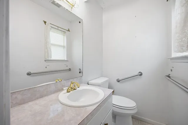 a view of a yard with plants and large trees