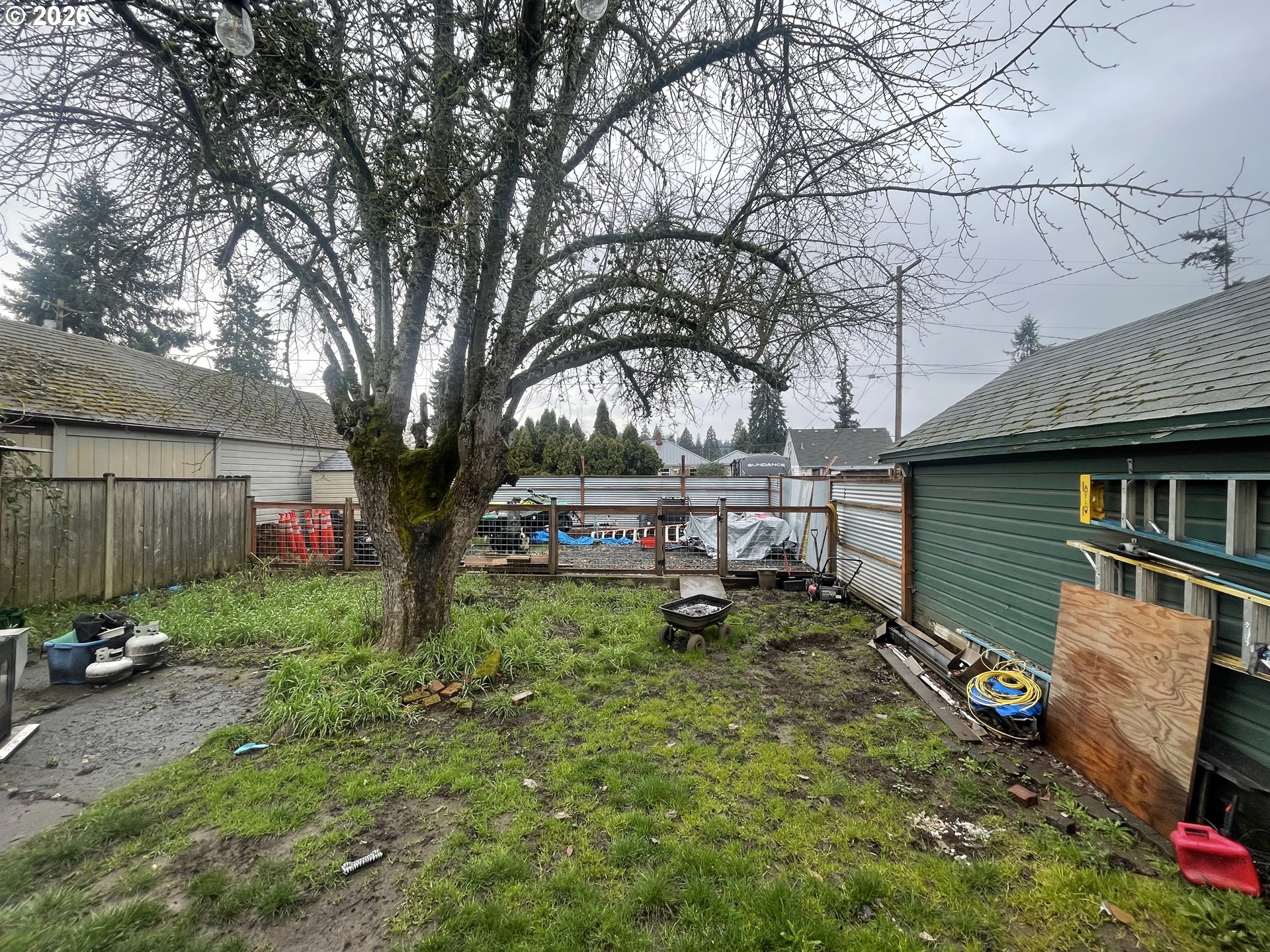 1006 5th Street Springfield, OR 97477 - Photo 41 of 43 a view of backyard with a table and chairs and a large tree