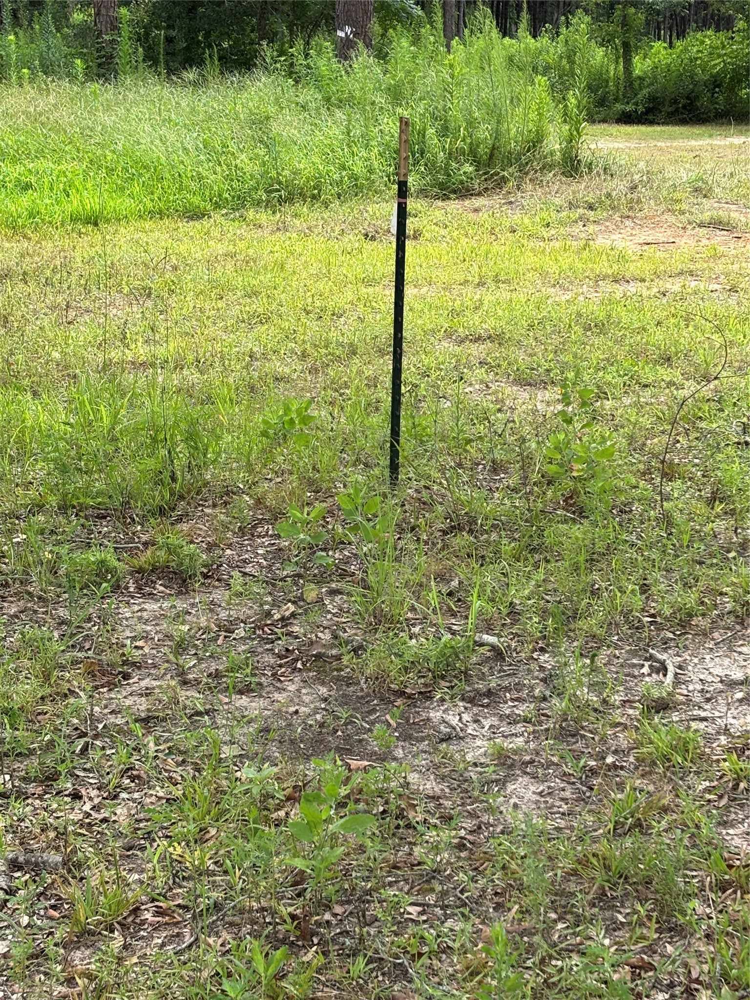 1263 Old Providence Road Livingston, TX 77351 - Photo 11 of 12