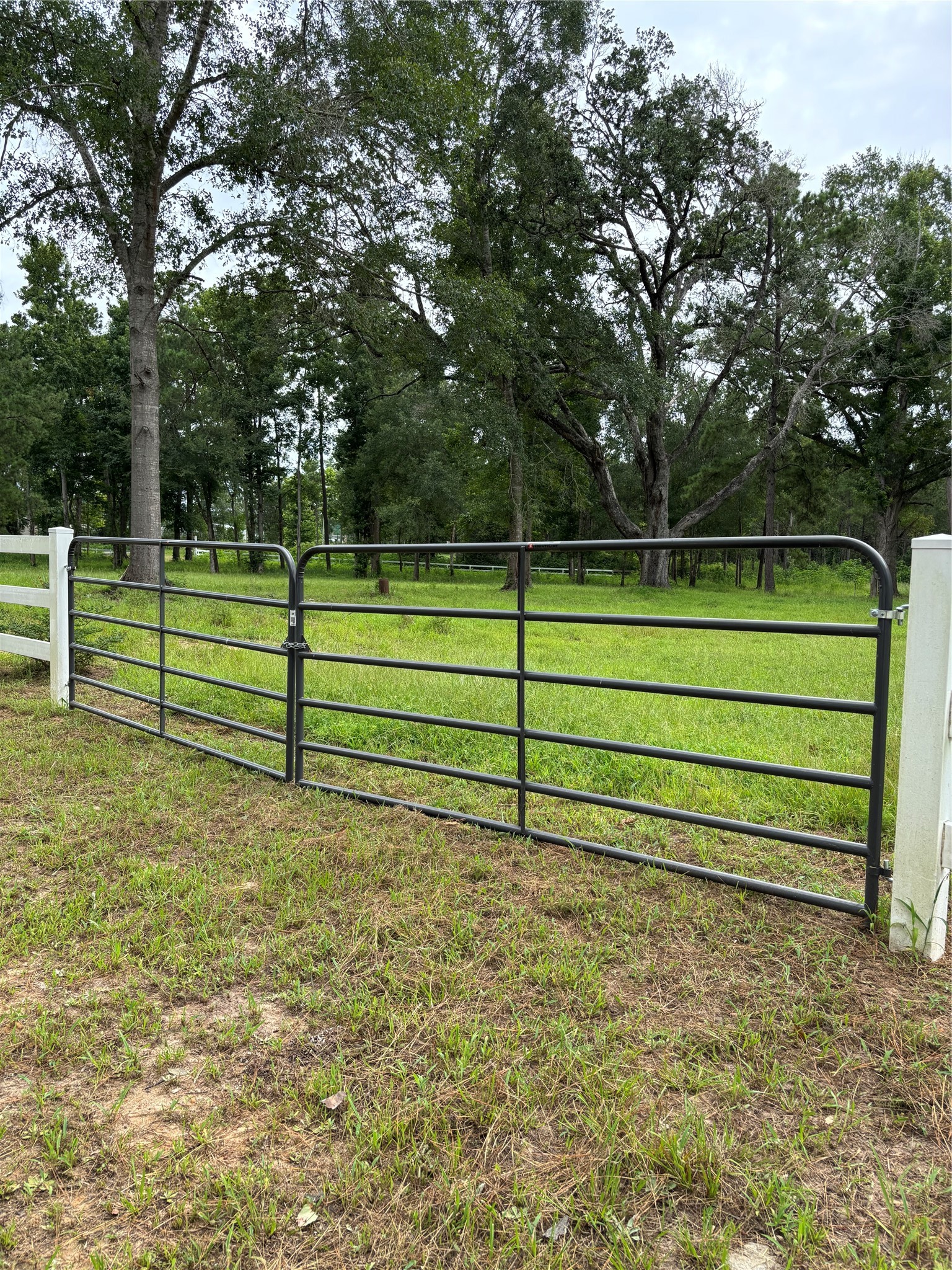 1263 Old Providence Road Livingston, TX 77351 - Photo 3 of 12