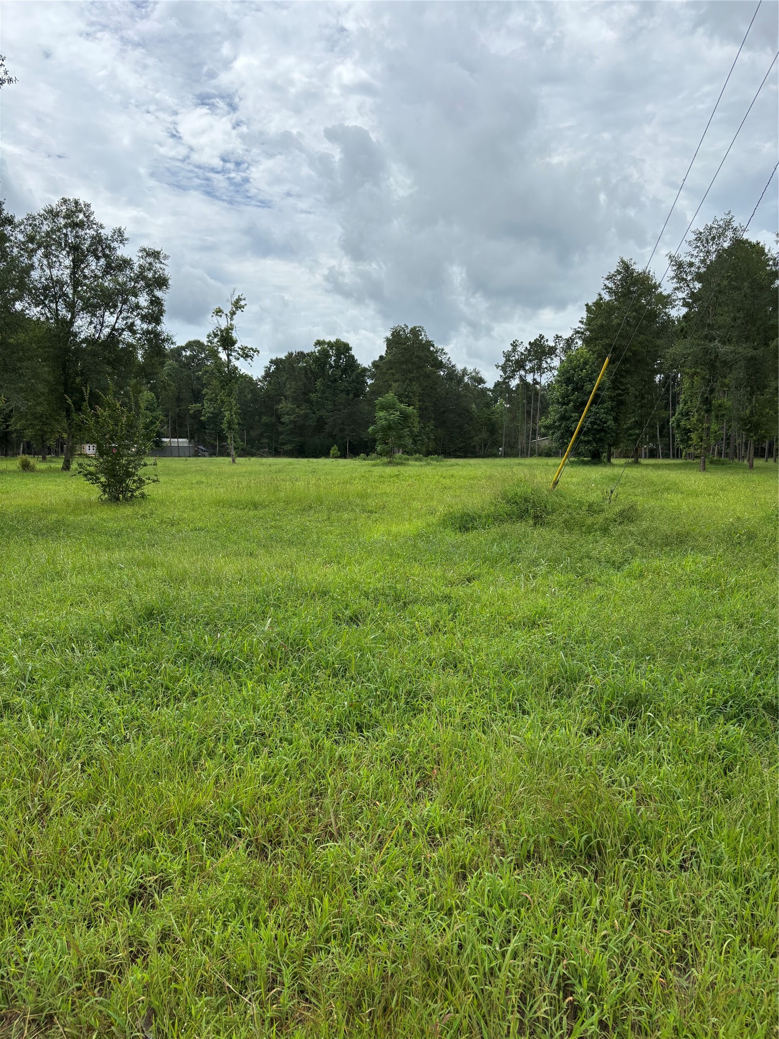 1263 Old Providence Road Livingston, TX 77351 - Photo 5 of 12