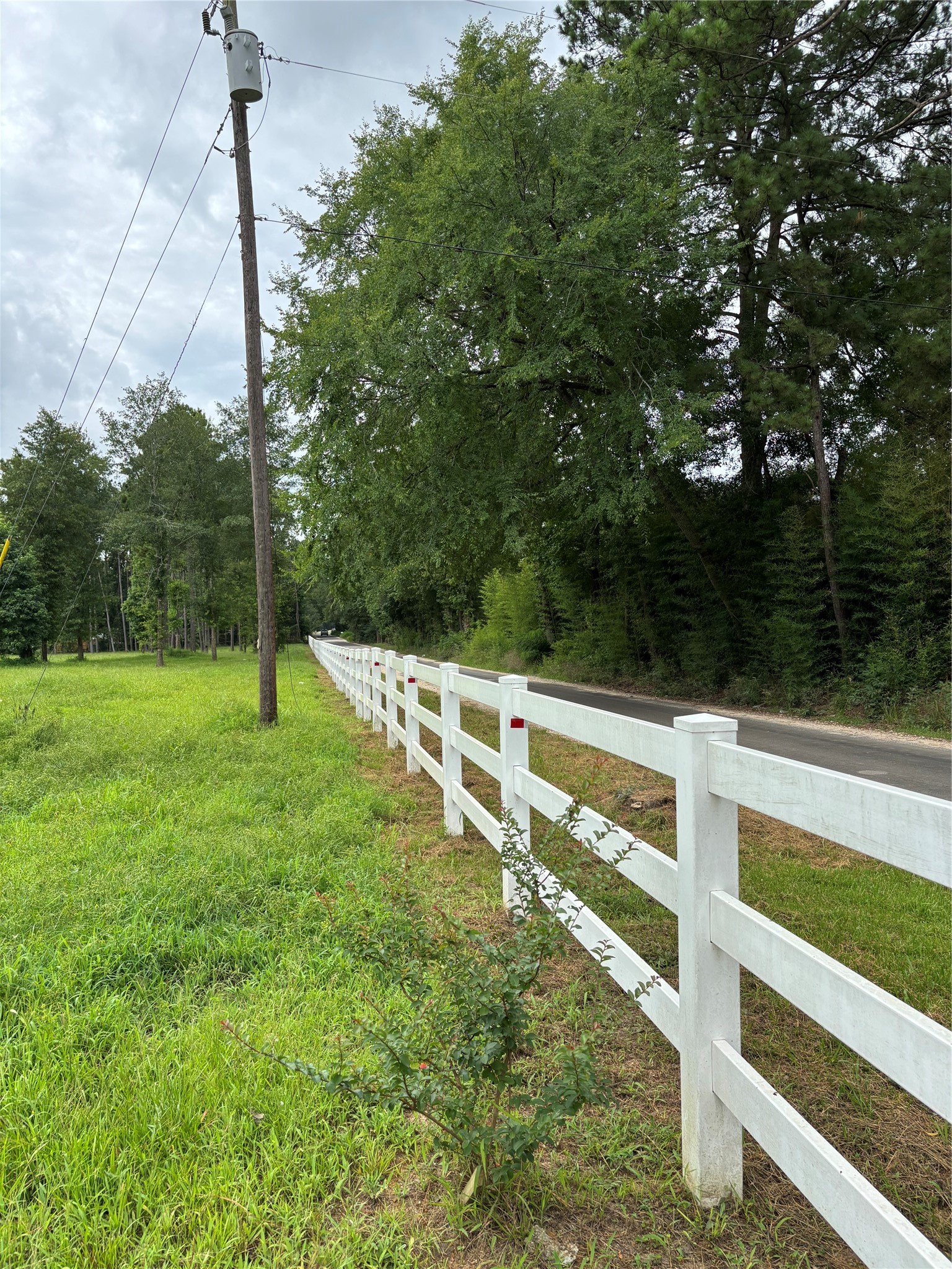 1263 Old Providence Road Livingston, TX 77351 - Photo 6 of 12