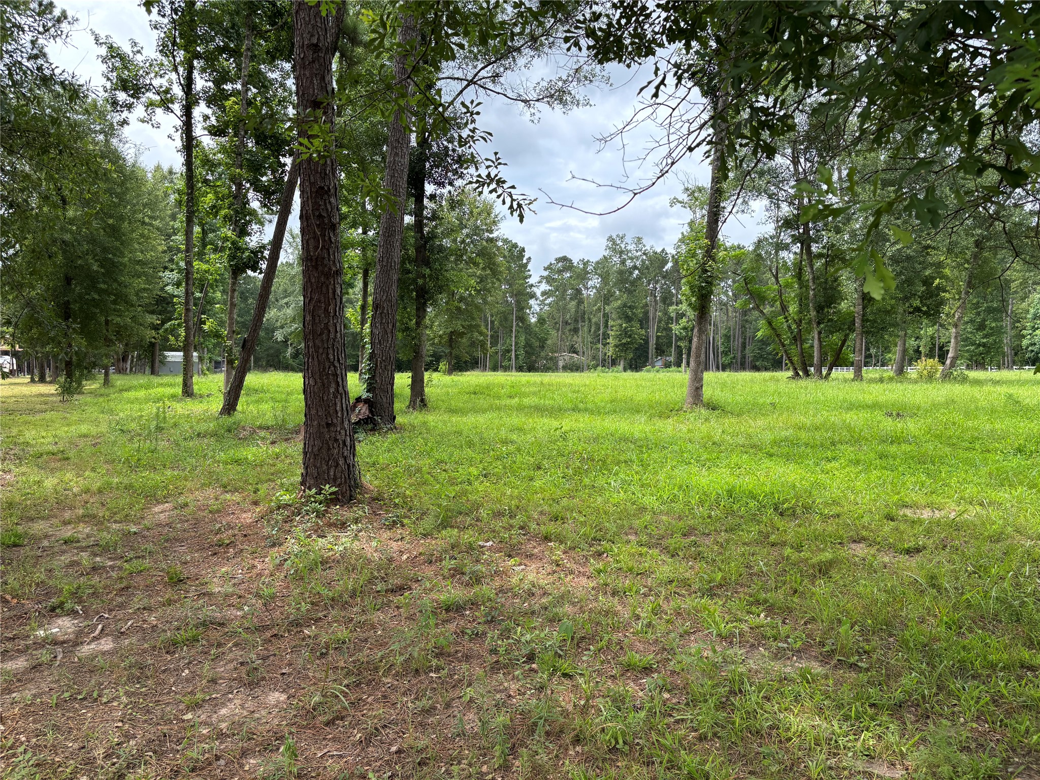 1263 Old Providence Road Livingston, TX 77351 - Photo 7 of 12