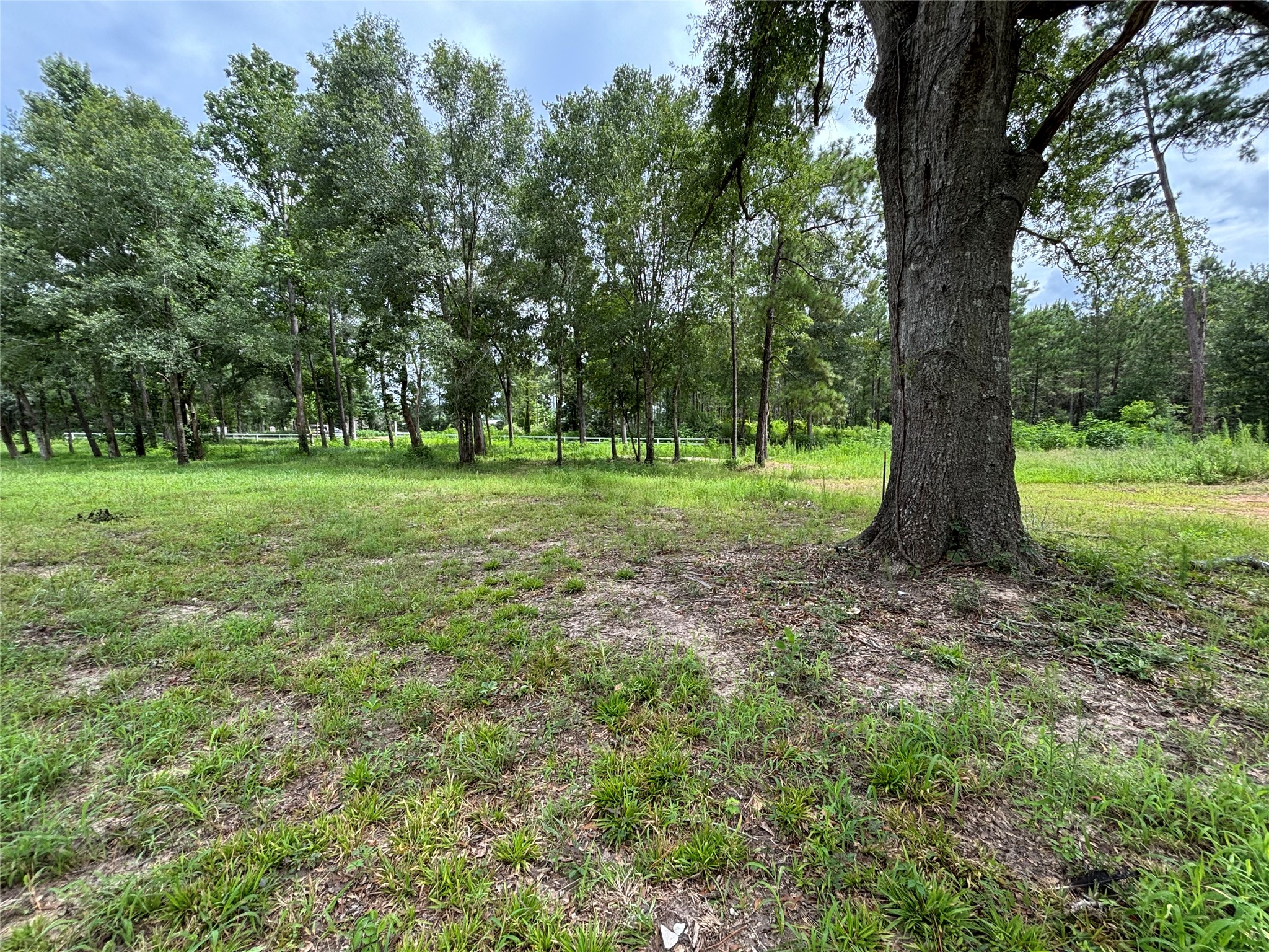 1263 Old Providence Road Livingston, TX 77351 - Photo 8 of 12