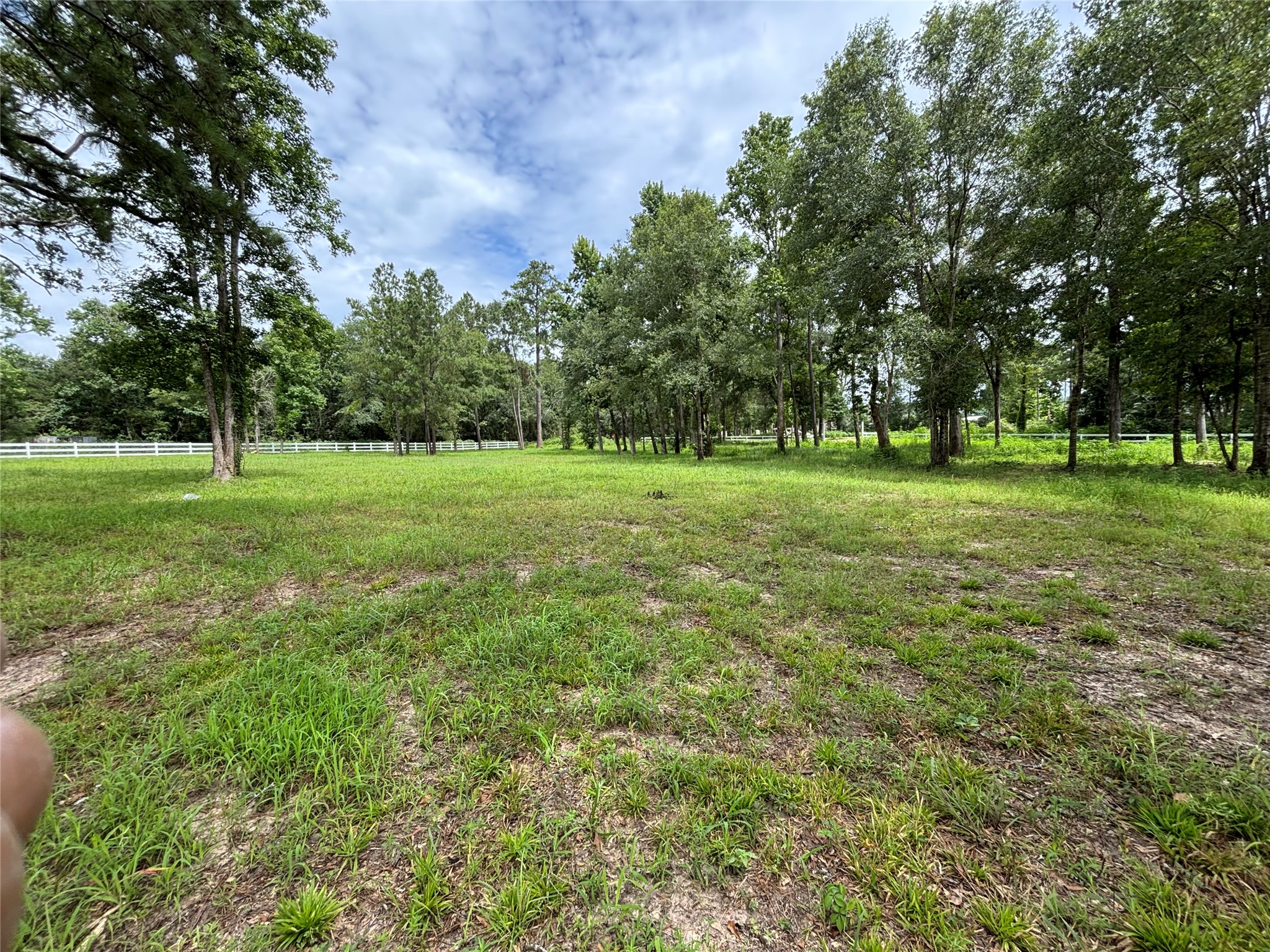 1263 Old Providence Road Livingston, TX 77351 - Photo 9 of 12