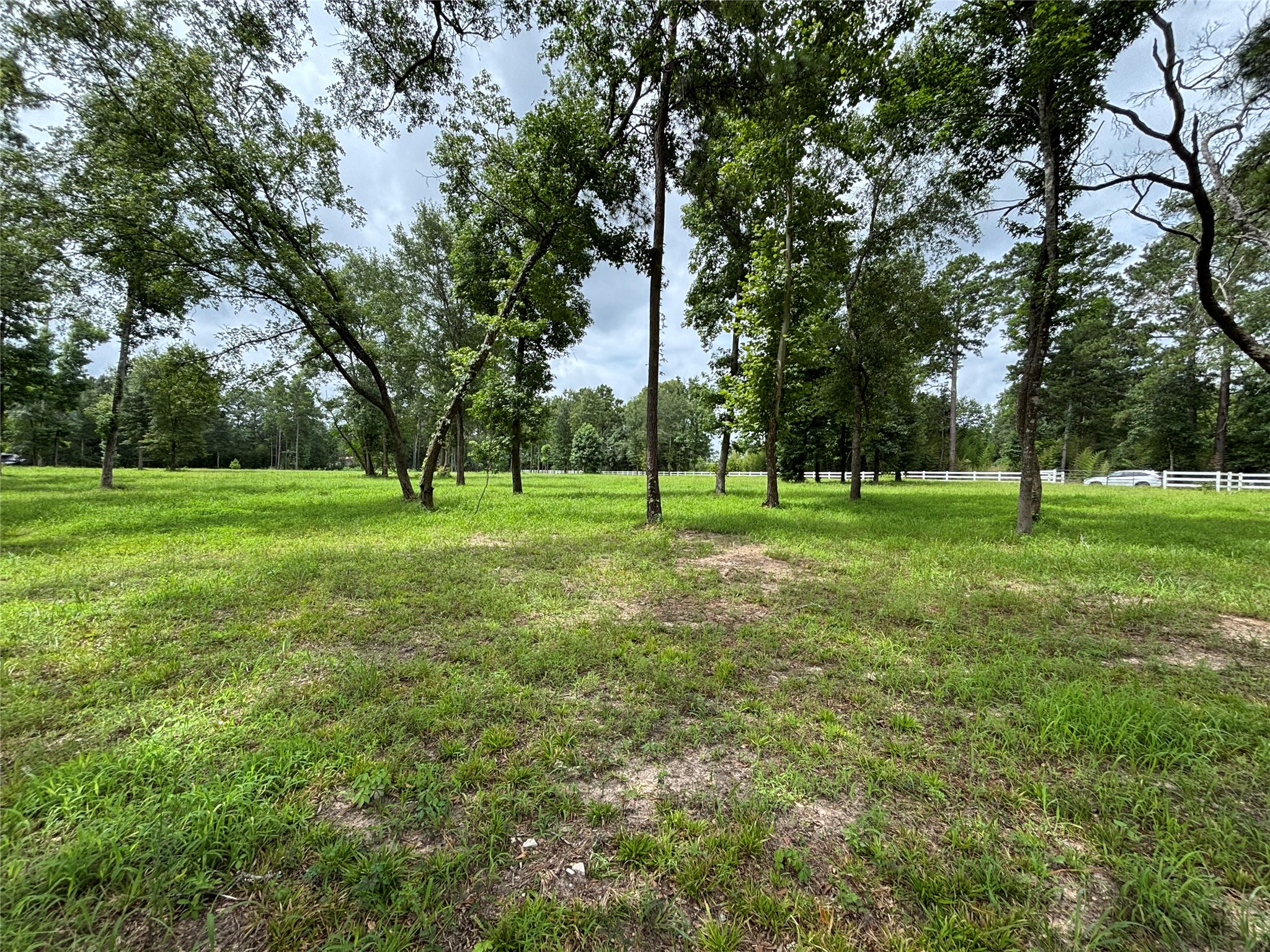 1263 Old Providence Road Livingston, TX 77351 - Photo 10 of 12