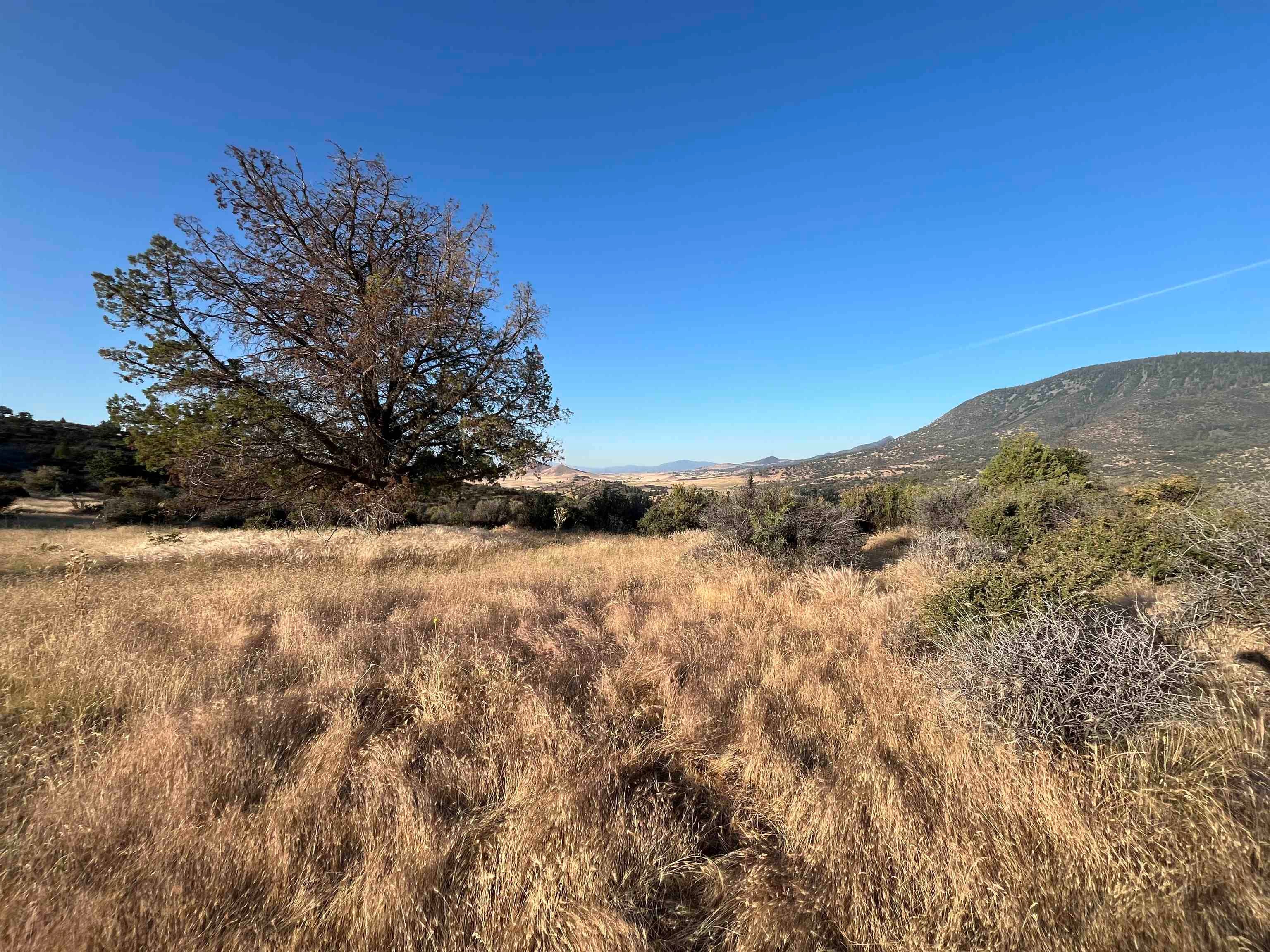 61 Whitepine Road Hornbrook, CA 96044 - Photo 2 of 5 Gallery Image 2