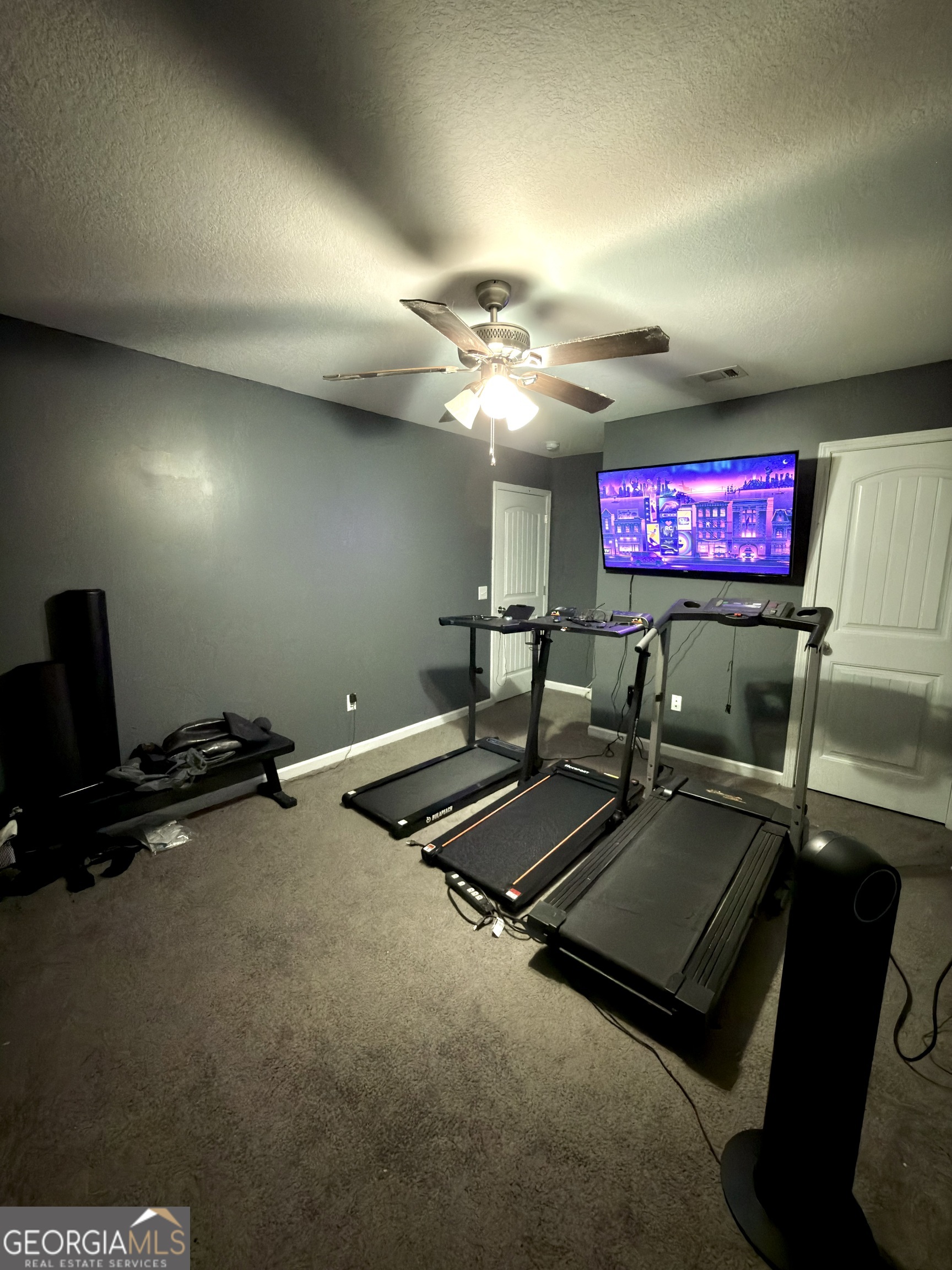 1615 Colony Lane Brooklet, GA 30415 - Photo 32 of 36 a room with gym equipment and a flat screen tv