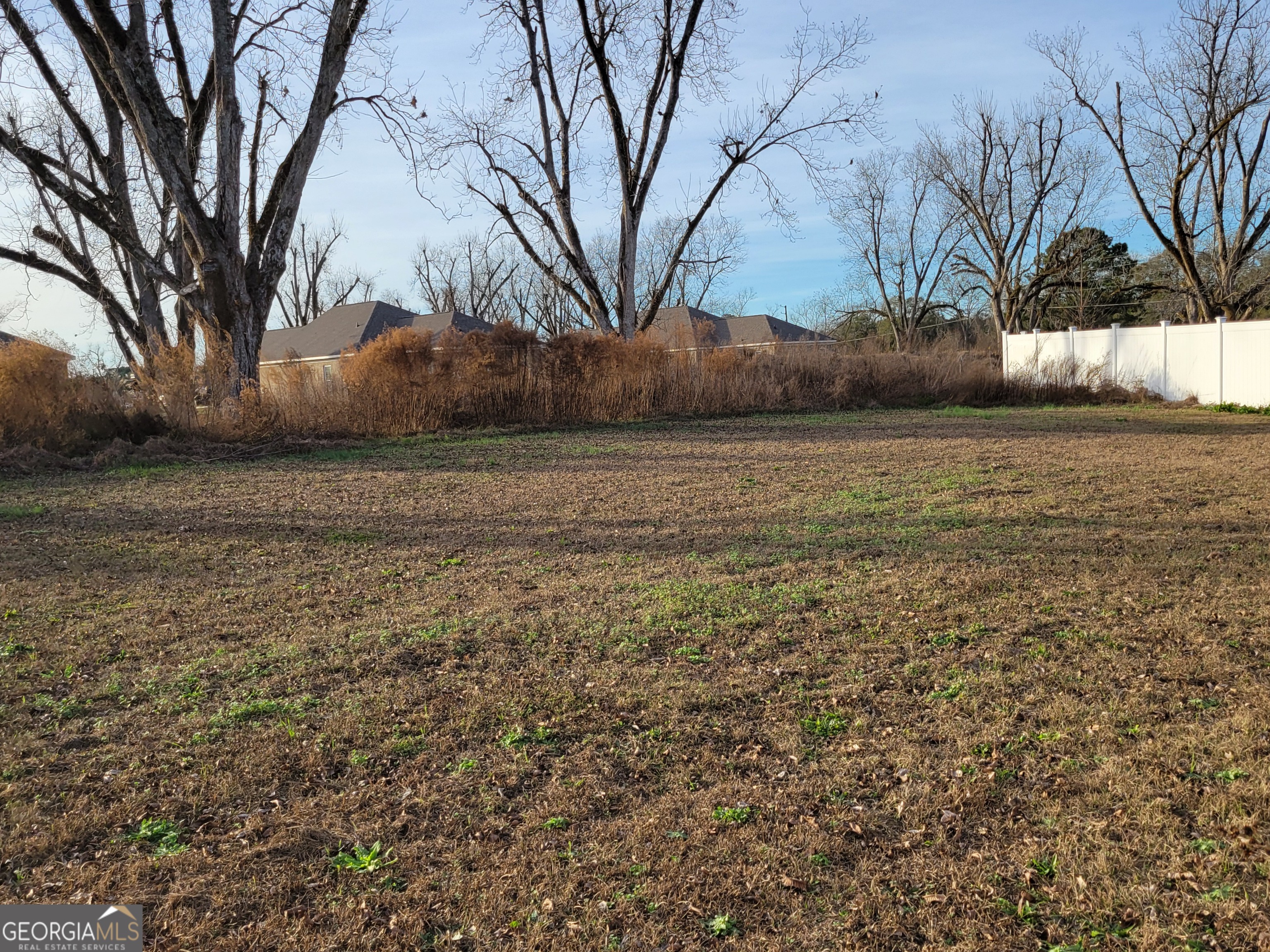 1615 Colony Lane Brooklet, GA 30415 - Photo 10 of 36 a view of a yard