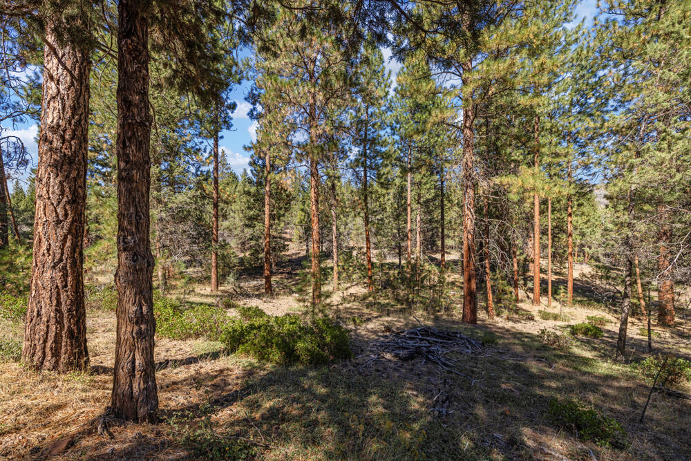 Lot 26 Simpson Canyon Road Klamath Falls, OR 97601 - Photo 4 of 33 SimpsonCanyonLand-9