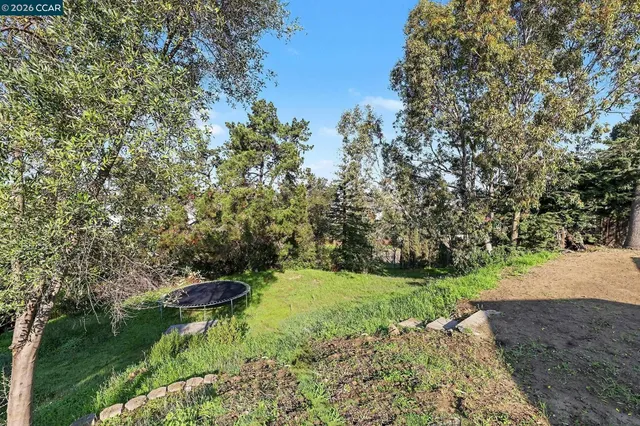 a view of a garden with a lake