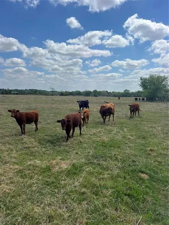 $1,023,980 | 12716 Farm To Market 59, Athens, TX 75751