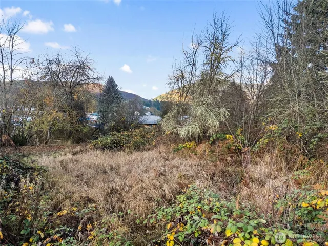 $80,000 | 2 Roosevelt Street, Mineral, WA 98355