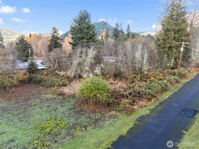 $80,000 | 2 Roosevelt Street, Mineral, WA 98355