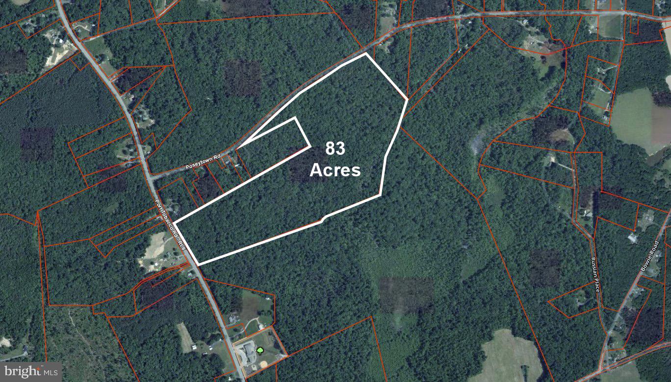 Poseytown Road Nanjemoy, MD 20662 - Photo 3 of 8 Expansive 83 Acres of Untouched Land